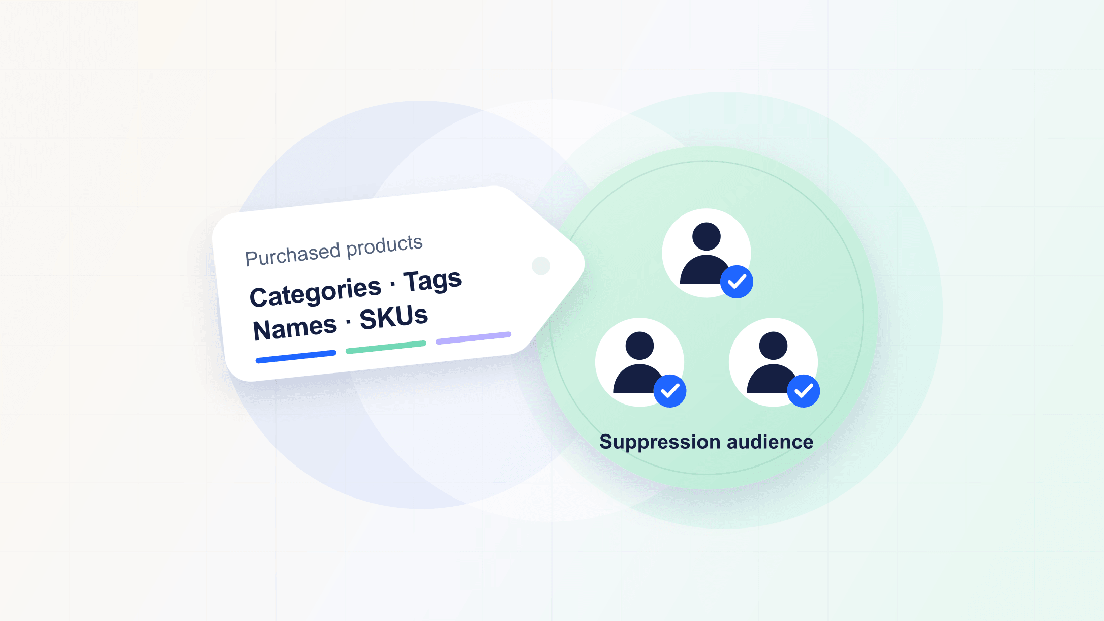 A purchased-product tag listing categories, tags, names, and SKUs overlaps a selected suppression audience